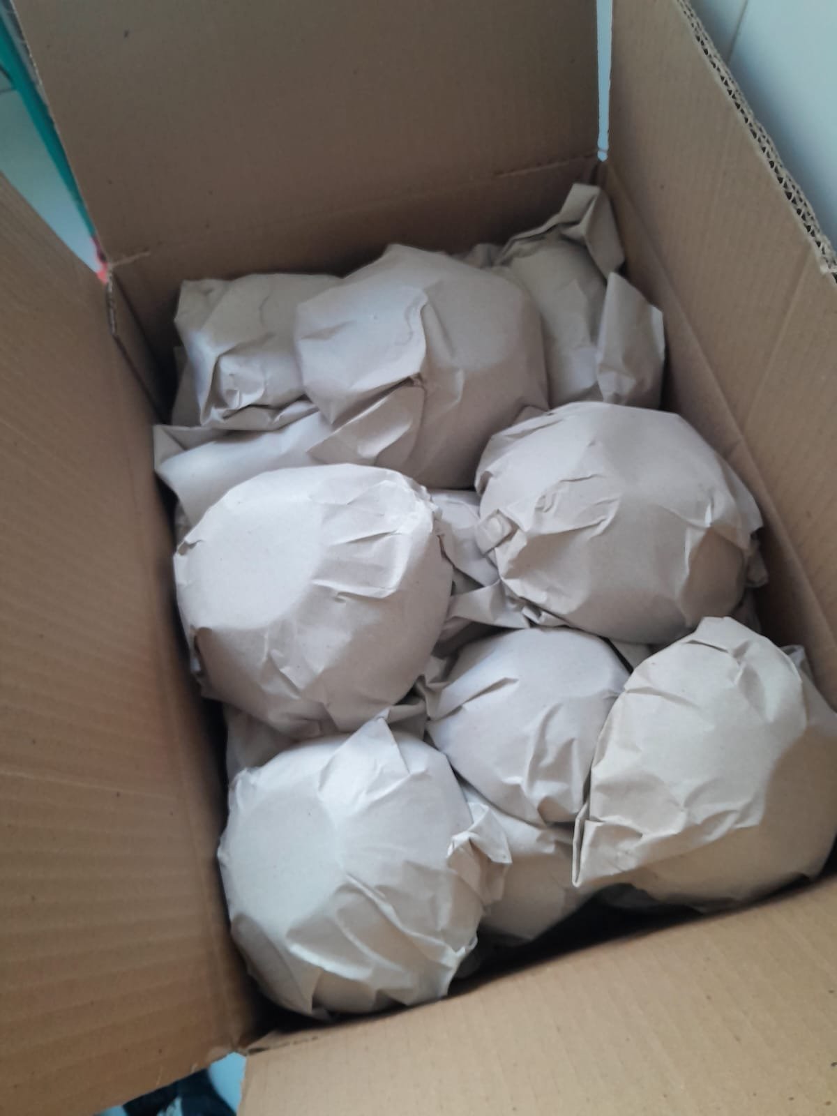 WhatsApp Image 2026-01-06 at 13.49.21